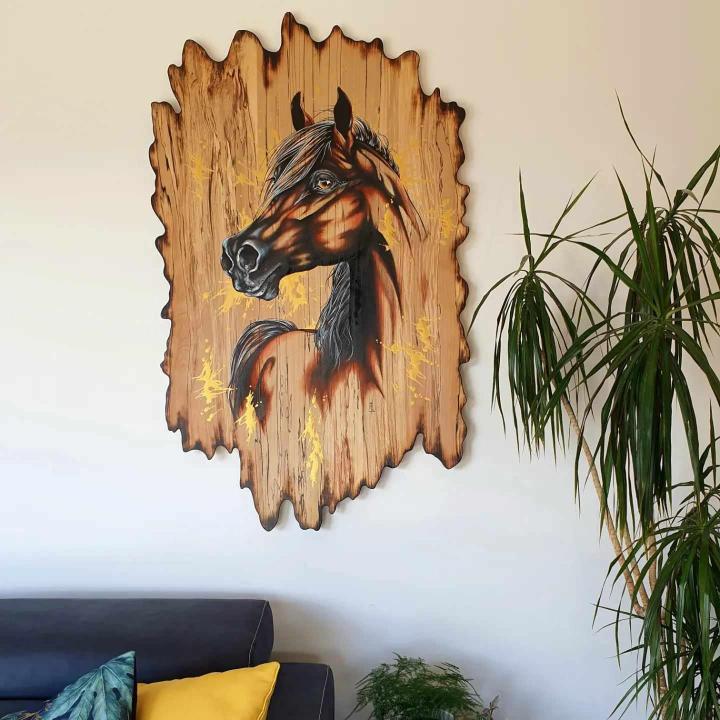 480135718 649929314068954 1841990282956762161 n